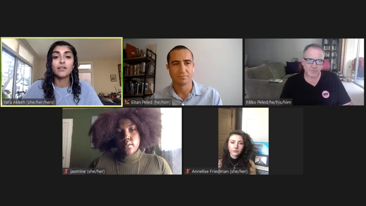 Should Progressives Support the Biden-Harris&nbsp;Ticket?